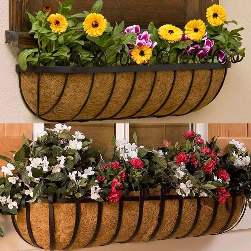 Coconut Fiber Planter Liner fo - Spider Plant Hanging review and price