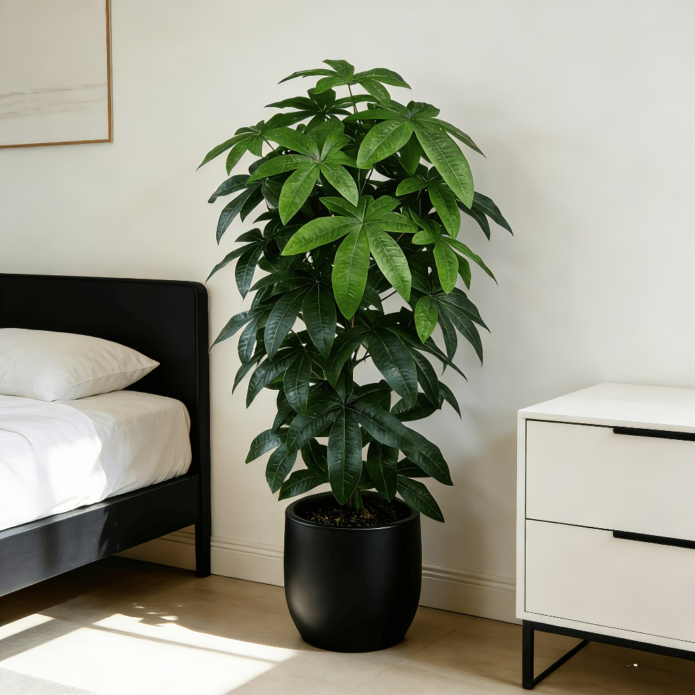 An Artificial Money Tree Pachi - Ficus Lyrata Tree review and price